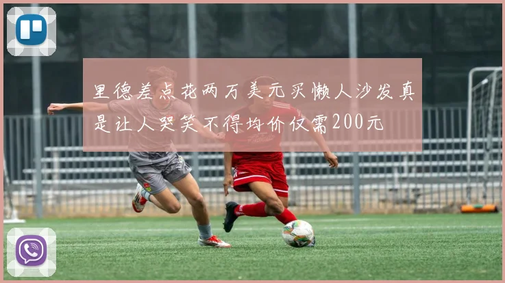 里德差点花两万美元买懒人沙发真是让人哭笑不得均价仅需200元
